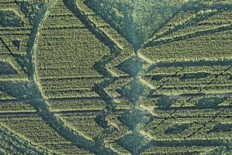 Avebury Trusloe, Wiltshire crop circle, aerial photo 13