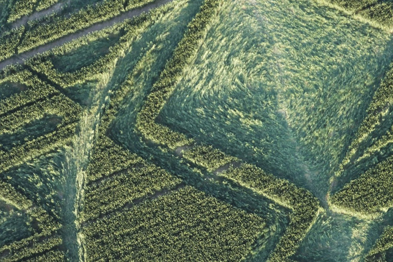 Avebury Trusloe, Wiltshire crop circle, aerial photo 15
