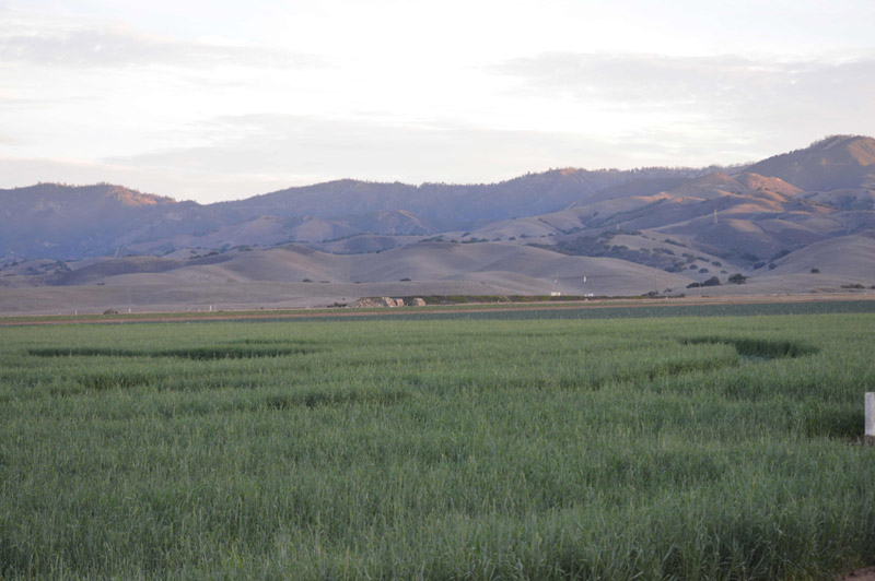 Chualar, USA crop circle, aerial photo 69