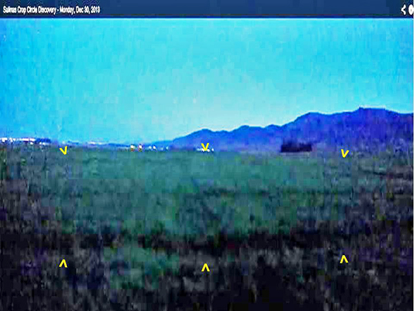 Chualar, USA crop circle, aerial photo 83