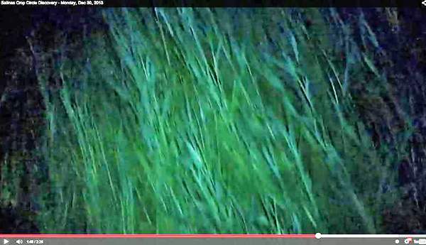 Chualar, USA crop circle, aerial photo 84