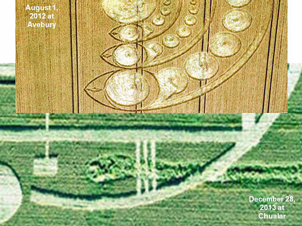 Chualar, USA crop circle, aerial photo 33