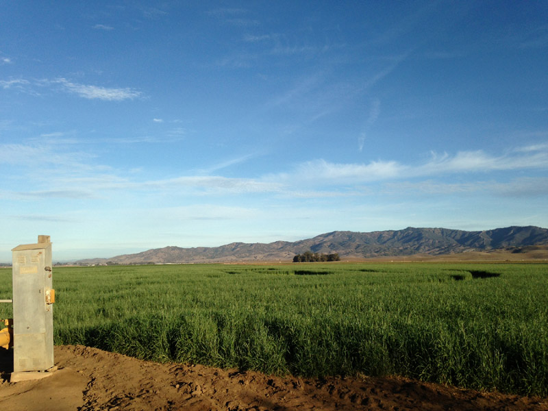 Chualar, USA crop circle, aerial photo 73