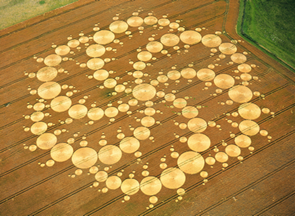 Chualar, USA crop circle, aerial photo 24