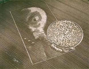 Chualar, USA crop circle, aerial photo 26