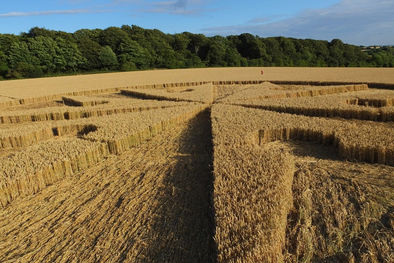 Chute Causeway, Wiltshire crop circle, aerial photo 56