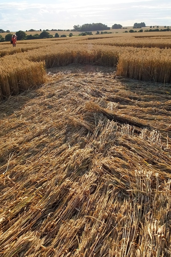 Chute Causeway, Wiltshire crop circle, aerial photo 55