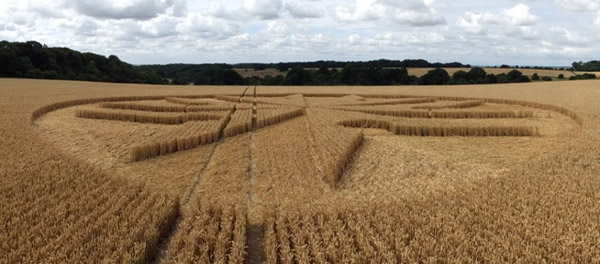 Chute Causeway, Wiltshire crop circle, aerial photo 47