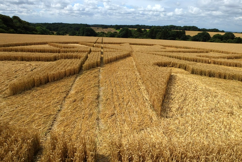 Chute Causeway, Wiltshire crop circle, aerial photo 54