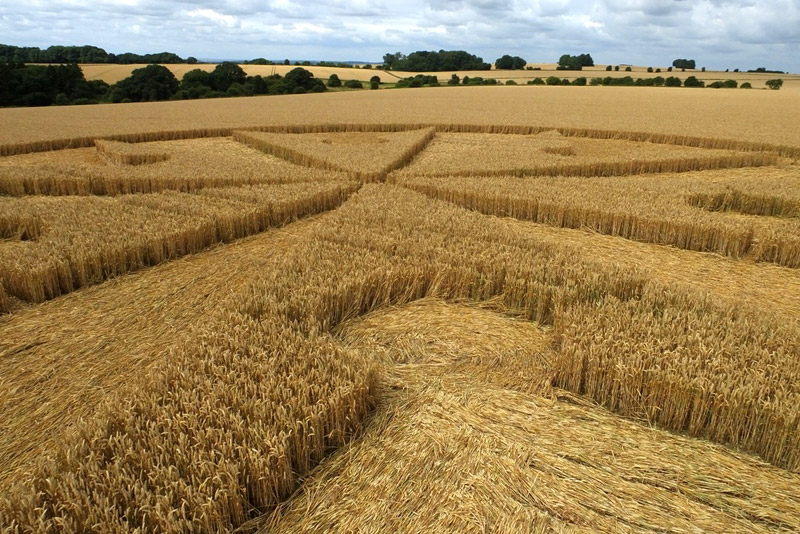 Chute Causeway, Wiltshire crop circle, aerial photo 60
