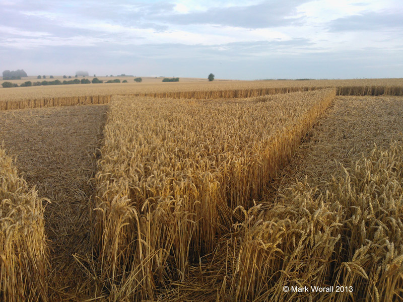 Chute Causeway, Wiltshire crop circle, aerial photo 102