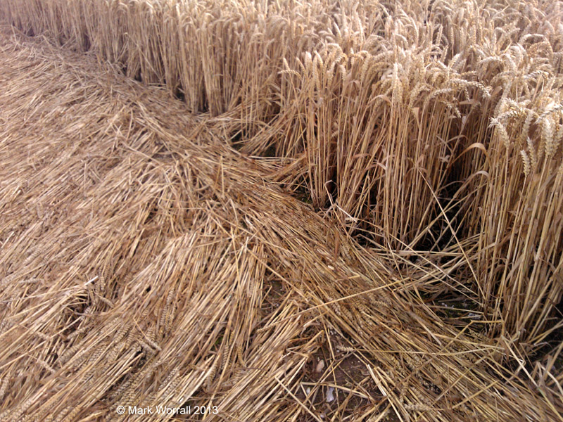 Chute Causeway, Wiltshire crop circle, aerial photo 103