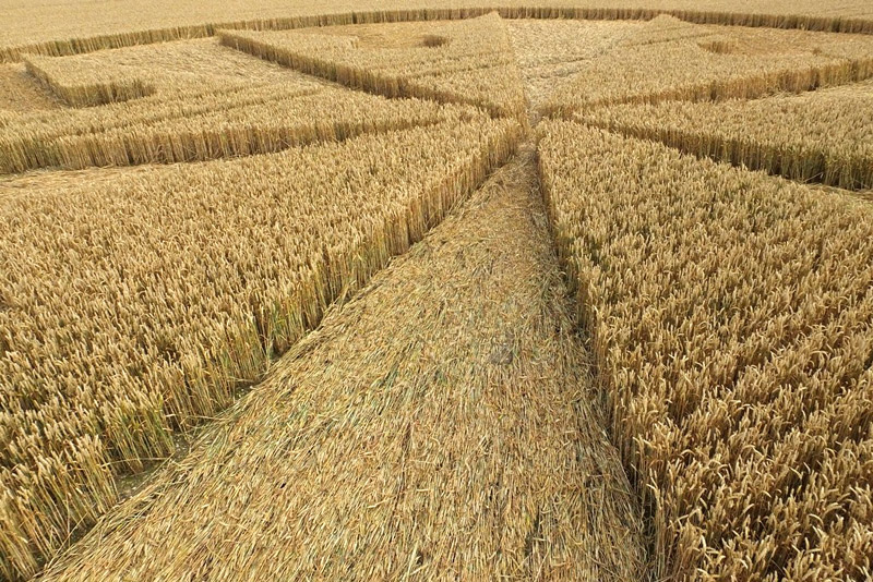 Chute Causeway, Wiltshire crop circle, aerial photo 52