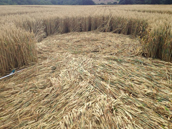 Chute Causeway, Wiltshire crop circle, aerial photo 43