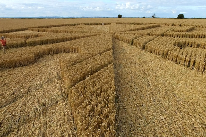 Chute Causeway, Wiltshire crop circle, aerial photo 51