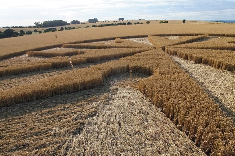 Chute Causeway, Wiltshire crop circle, aerial photo 59