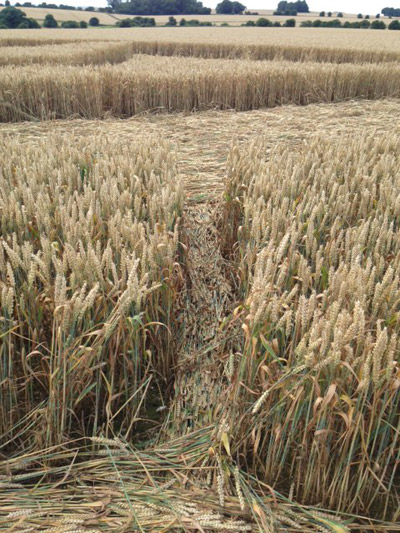 Chute Causeway, Wiltshire crop circle, aerial photo 45