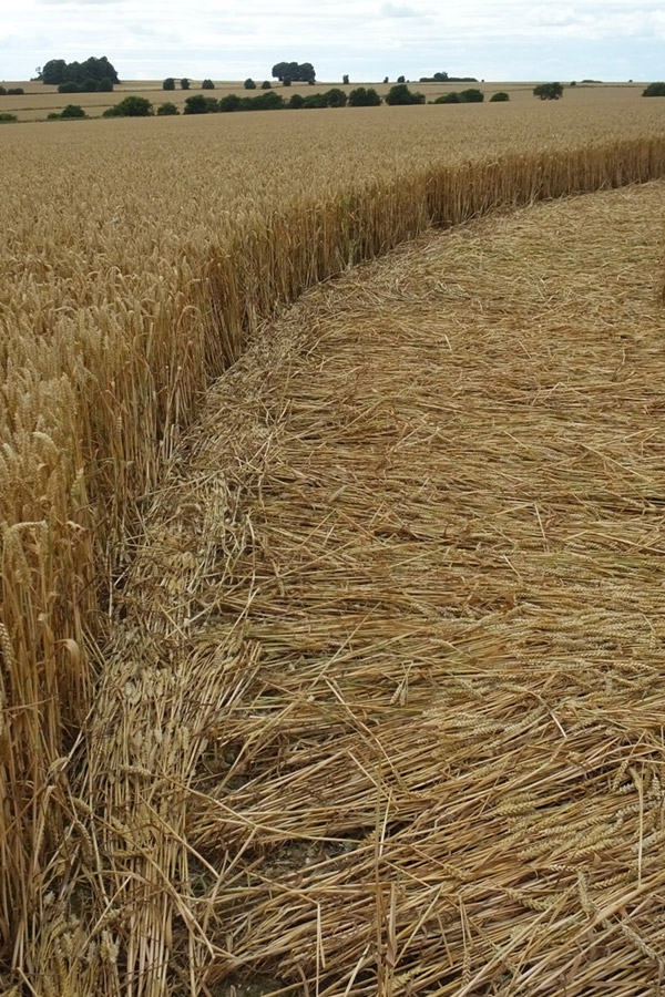 Chute Causeway, Wiltshire crop circle, aerial photo 48