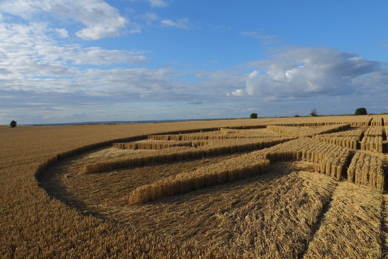Chute Causeway, Wiltshire crop circle, aerial photo 57