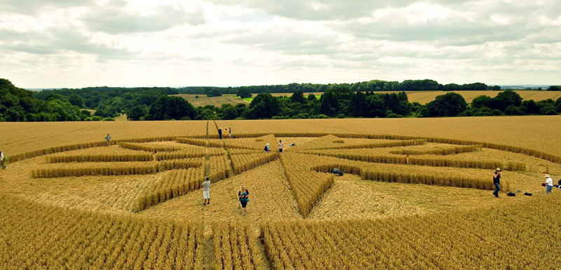 Chute Causeway, Wiltshire crop circle, aerial photo 38