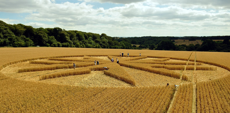Chute Causeway, Wiltshire crop circle, aerial photo 39