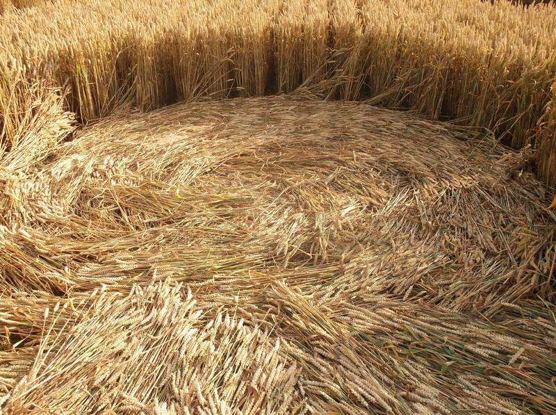 Chute Causeway, Wiltshire crop circle, aerial photo 92