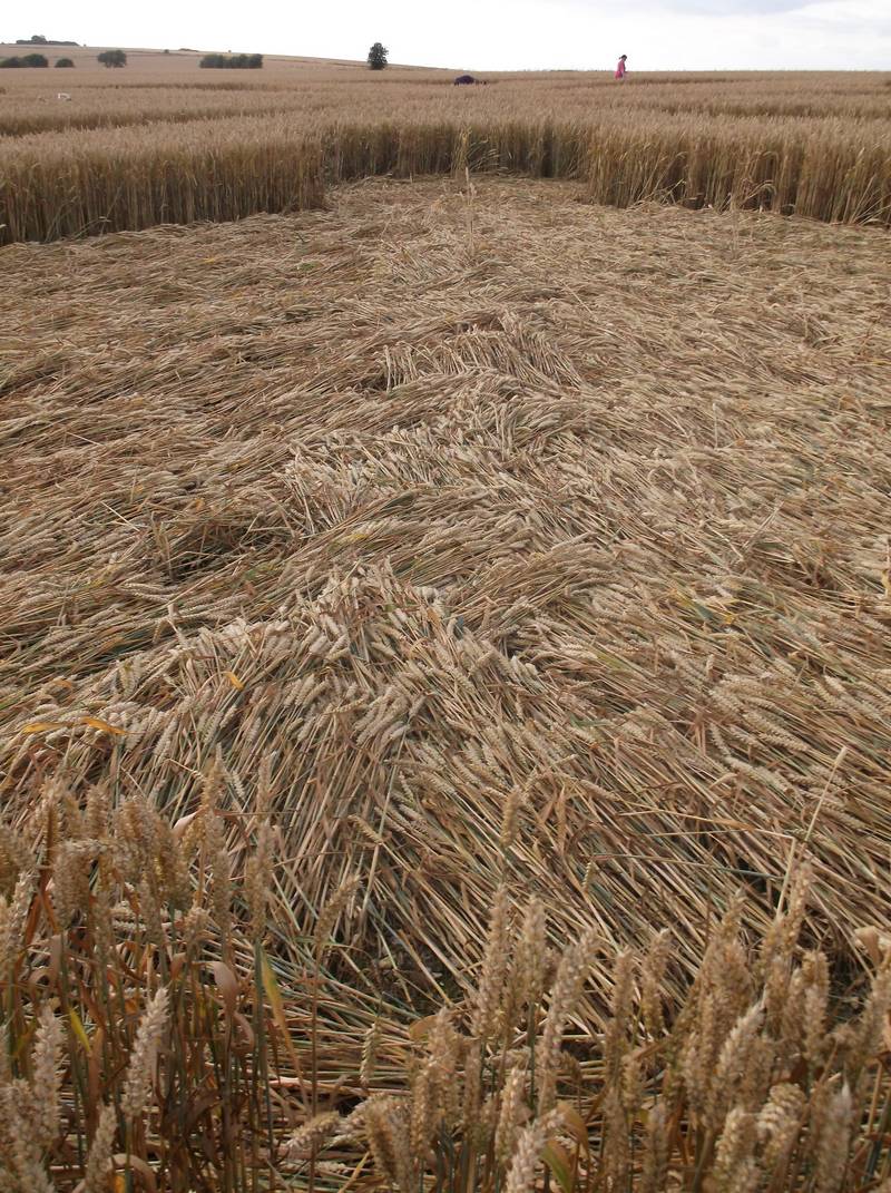 Chute Causeway, Wiltshire crop circle, aerial photo 88