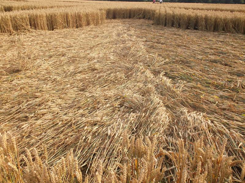 Chute Causeway, Wiltshire crop circle, aerial photo 84