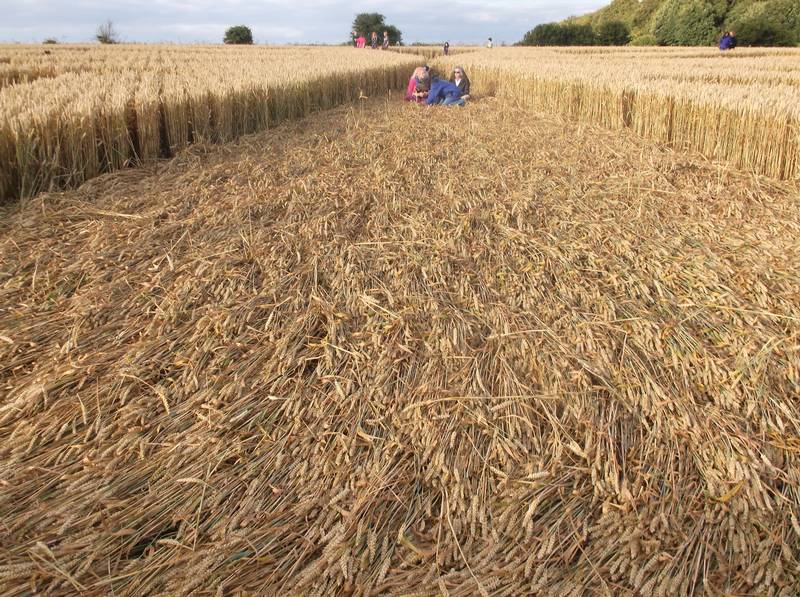 Chute Causeway, Wiltshire crop circle, aerial photo 80