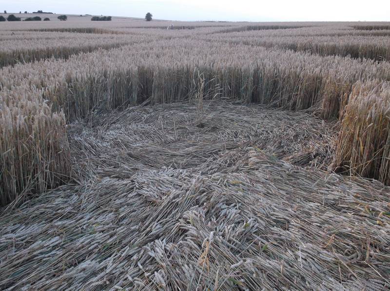 Chute Causeway, Wiltshire crop circle, aerial photo 74