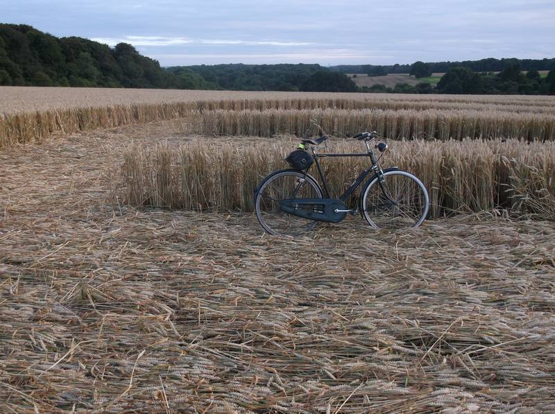 Chute Causeway, Wiltshire crop circle, aerial photo 71