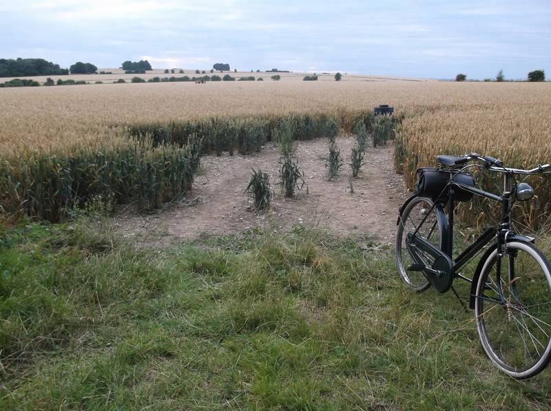 Chute Causeway, Wiltshire crop circle, aerial photo 100