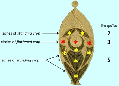 Cooks Plantation, Wiltshire crop circle, aerial photo 29