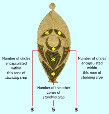 Cooks Plantation, Wiltshire crop circle, aerial photo 33