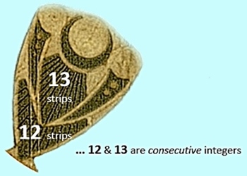 Cooks Plantation, Wiltshire crop circle, aerial photo 25