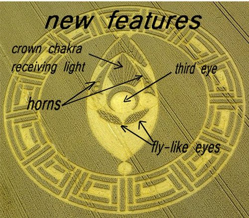 Cooks Plantation, Wiltshire crop circle, aerial photo 12