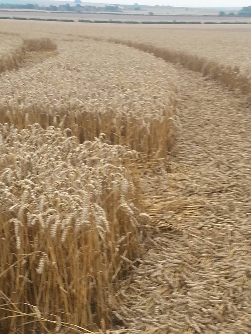 Cooks Plantation, Wiltshire crop circle, aerial photo 39