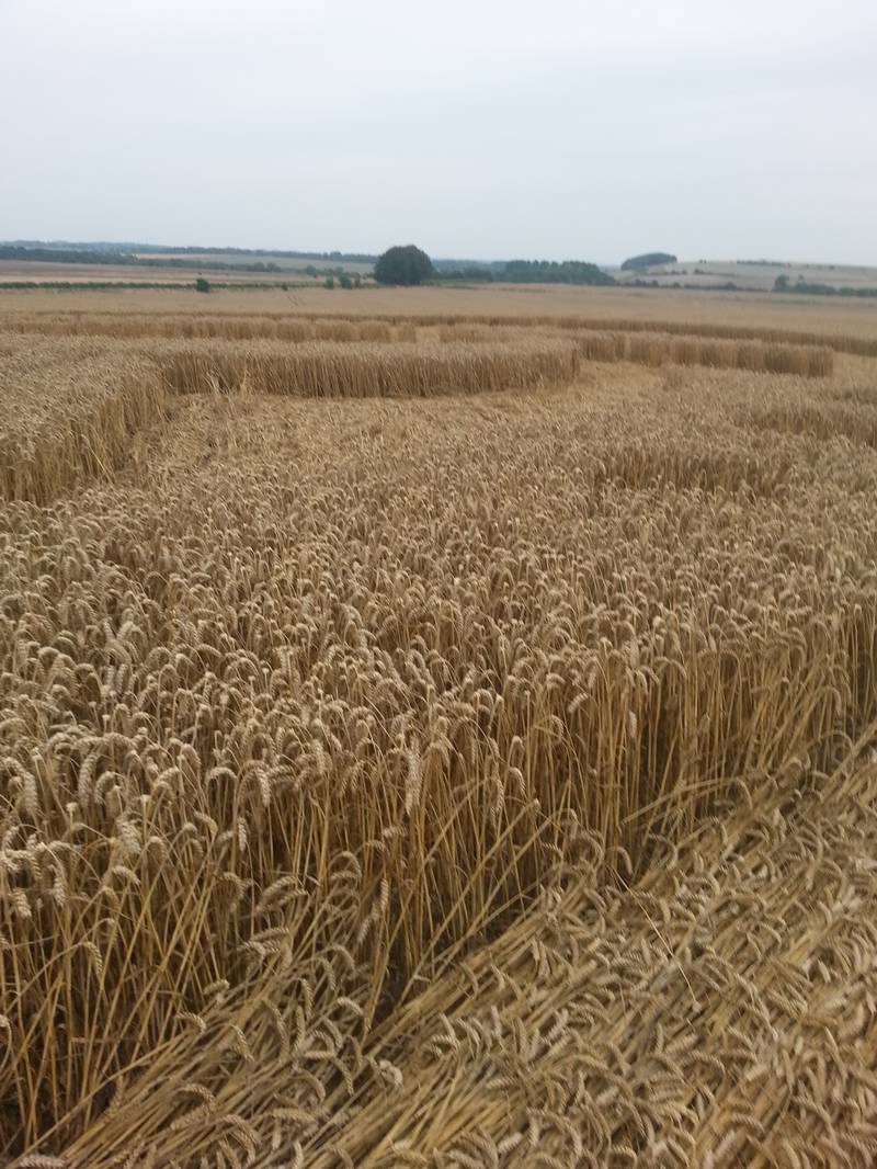 Cooks Plantation, Wiltshire crop circle, aerial photo 49