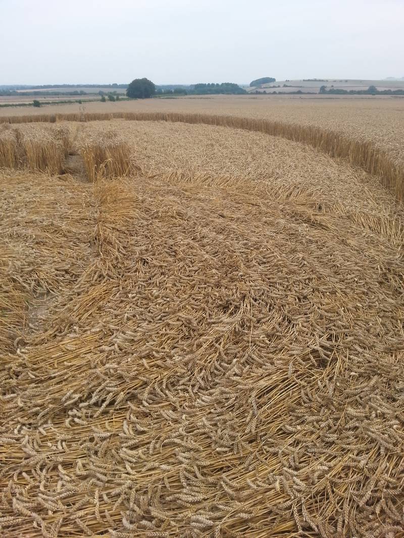 Cooks Plantation, Wiltshire crop circle, aerial photo 47