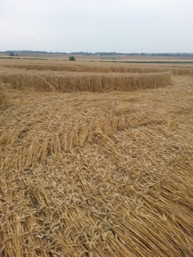 Cooks Plantation, Wiltshire crop circle, aerial photo 46