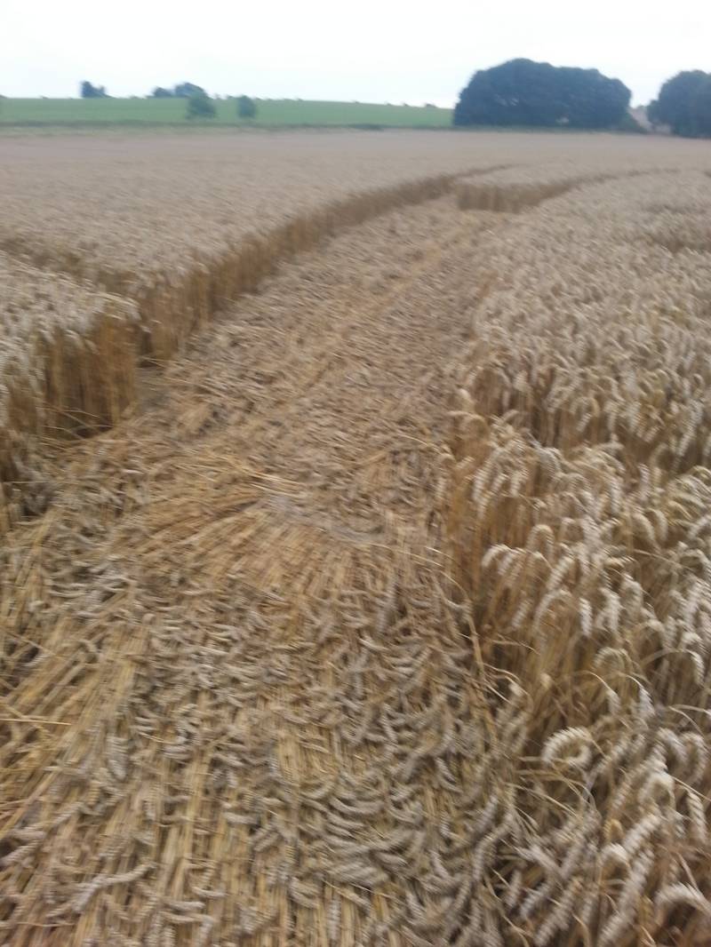 Cooks Plantation, Wiltshire crop circle, aerial photo 62