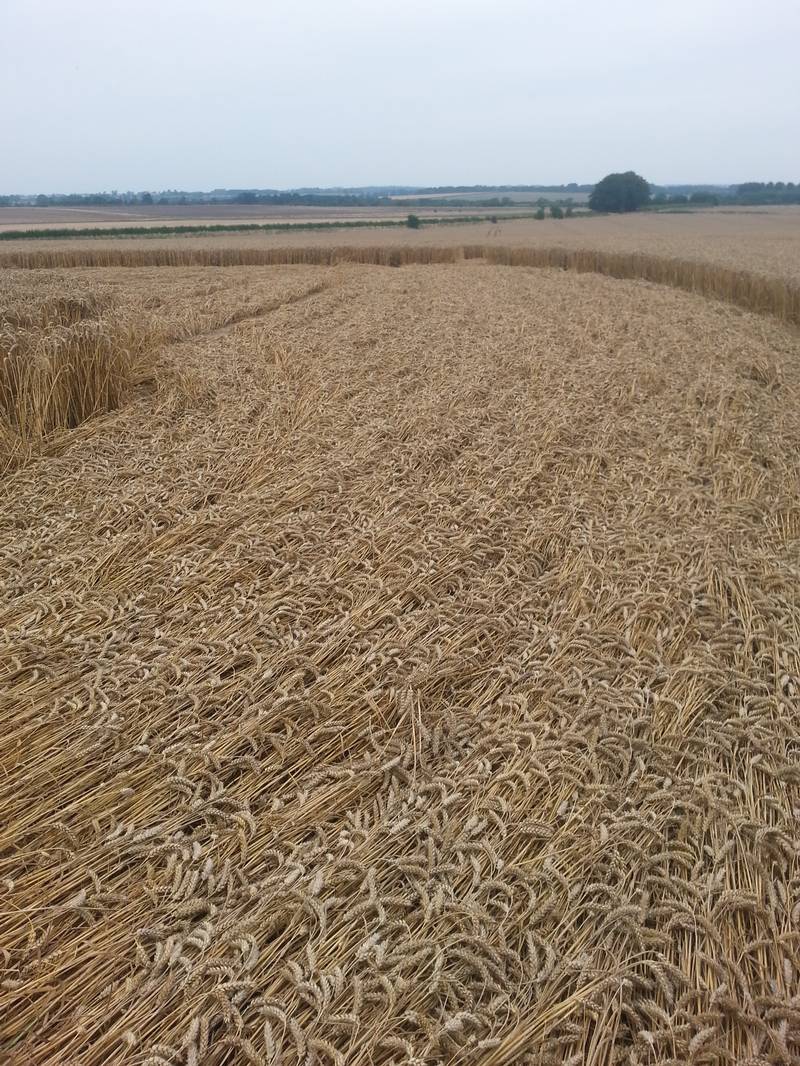 Cooks Plantation, Wiltshire crop circle, aerial photo 58