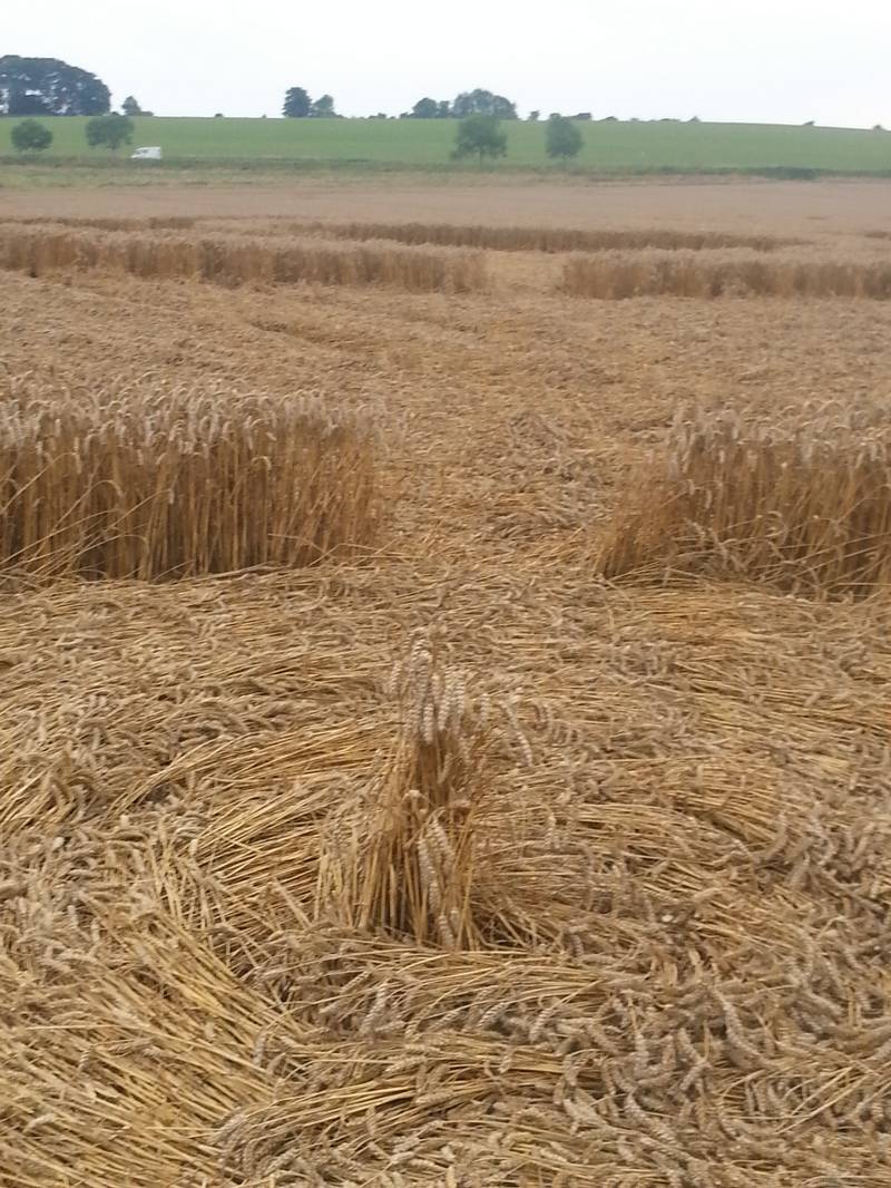 Cooks Plantation, Wiltshire crop circle, aerial photo 70