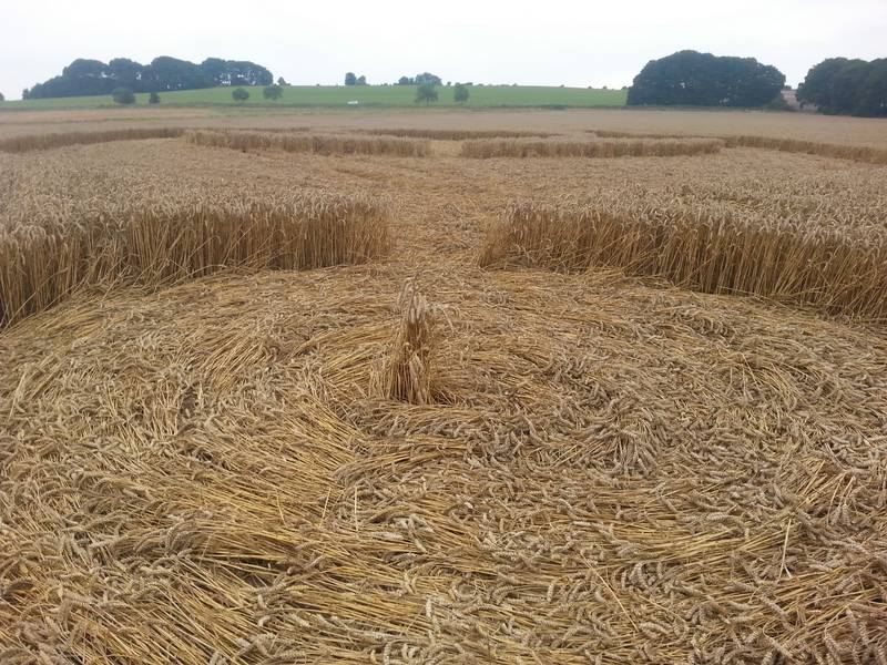 Cooks Plantation, Wiltshire crop circle, aerial photo 69