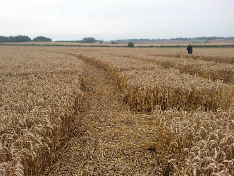 Cooks Plantation, Wiltshire crop circle, aerial photo 68
