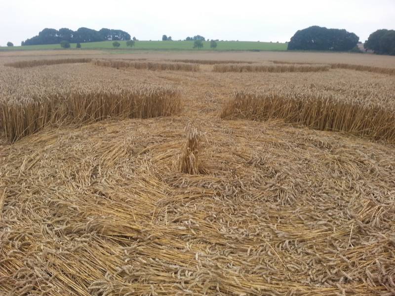 Cooks Plantation, Wiltshire crop circle, aerial photo 67