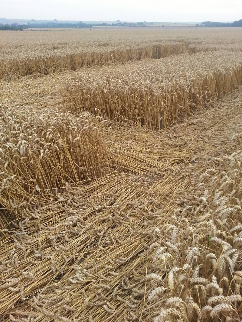 Cooks Plantation, Wiltshire crop circle, aerial photo 66