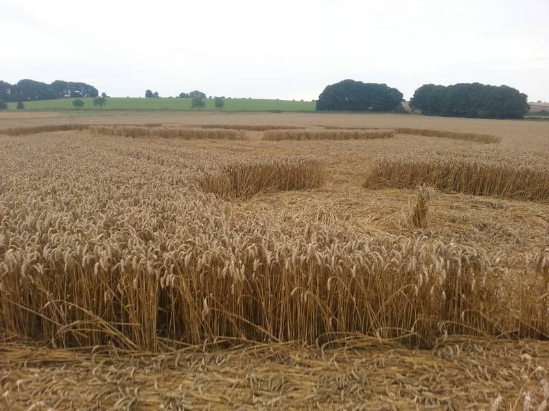 Cooks Plantation, Wiltshire crop circle, aerial photo 65