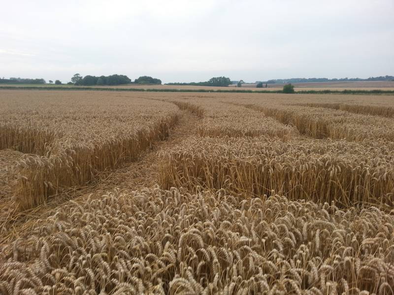 Cooks Plantation, Wiltshire crop circle, aerial photo 64