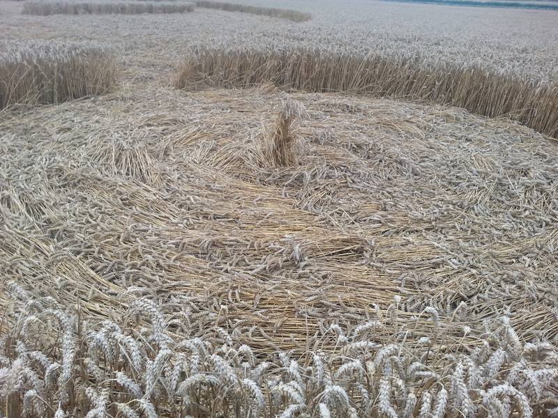 Cooks Plantation, Wiltshire crop circle, aerial photo 72